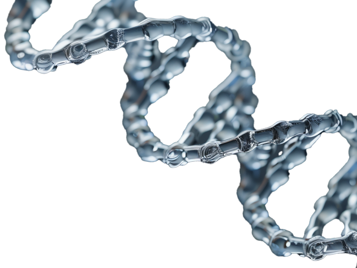 Health Standard Solutions - Grafik von Nahaufnahme eines DNA-Strangs aus Glas zum Thema Pharmakogenetik