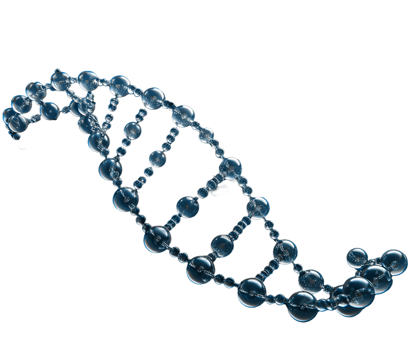 Health Standard Solutions - Grafik von Nahaufnahme eines DNA-Strangs aus Glas zum Thema Pharmakogenetikanalyse