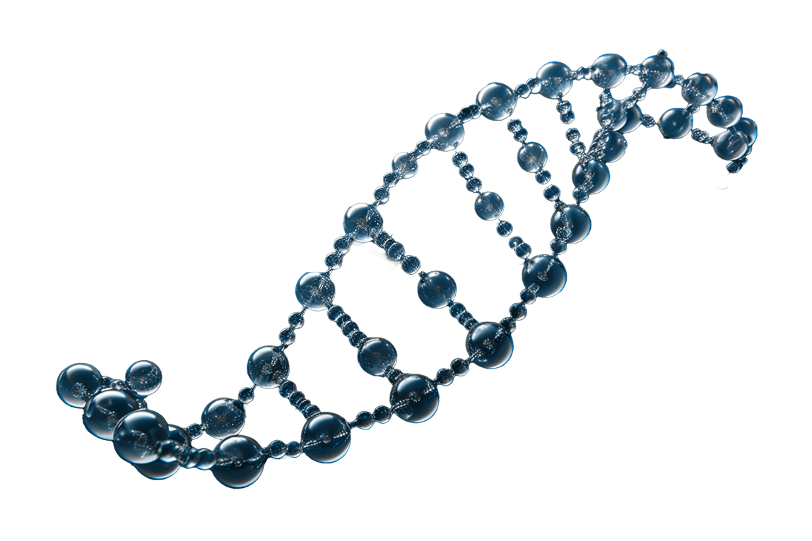 Bild zur Unternehmensphilosophie von Health Standard Solutions, Schwerpunkt Longevity-Beratung. Im Bild: Teil einer DNA-Kette.