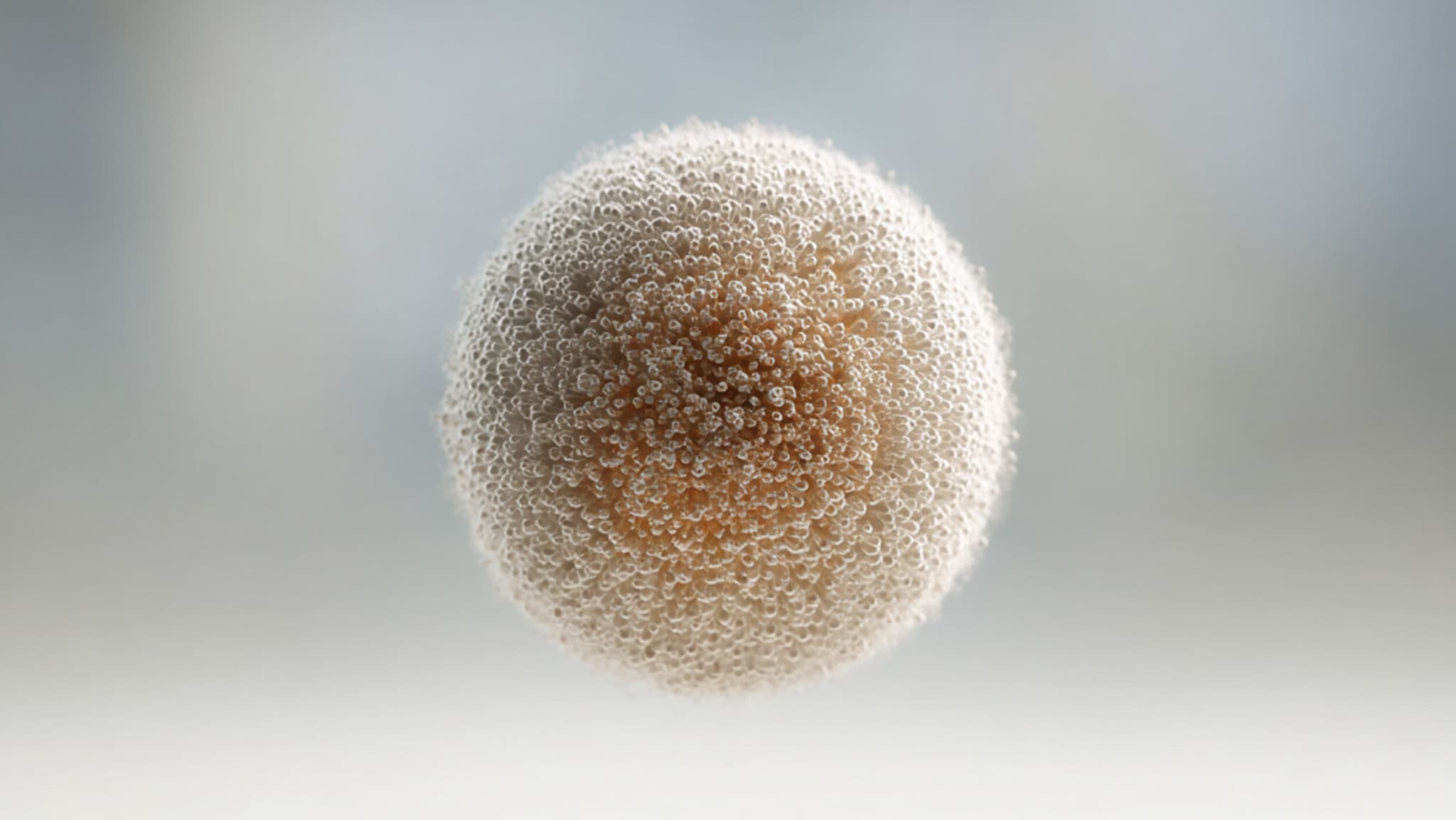 Schwebende Kugel, KI-generiert