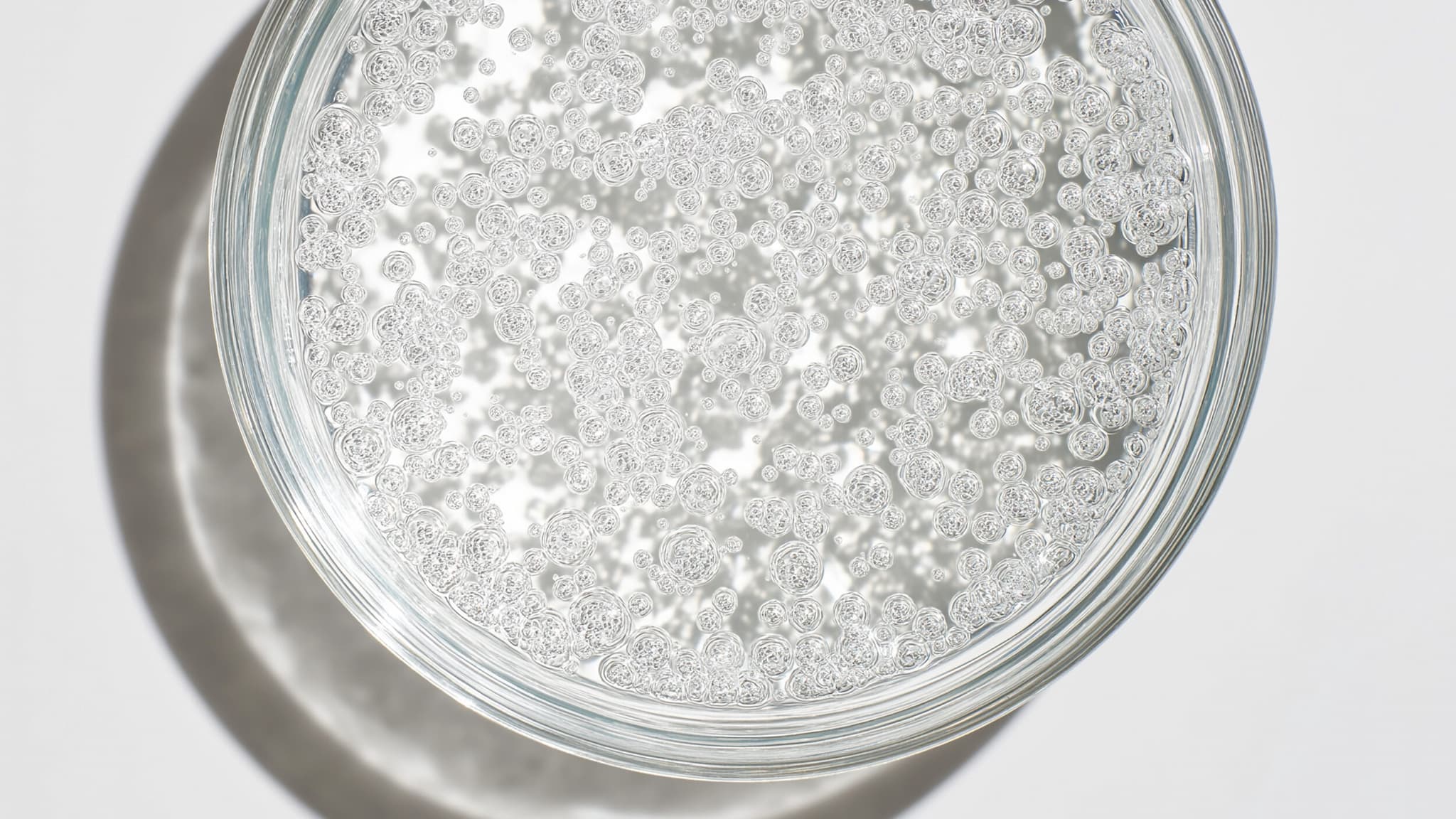 Foto von oben: Petrischale mit transparenter Flüssigkeit und Partikeln