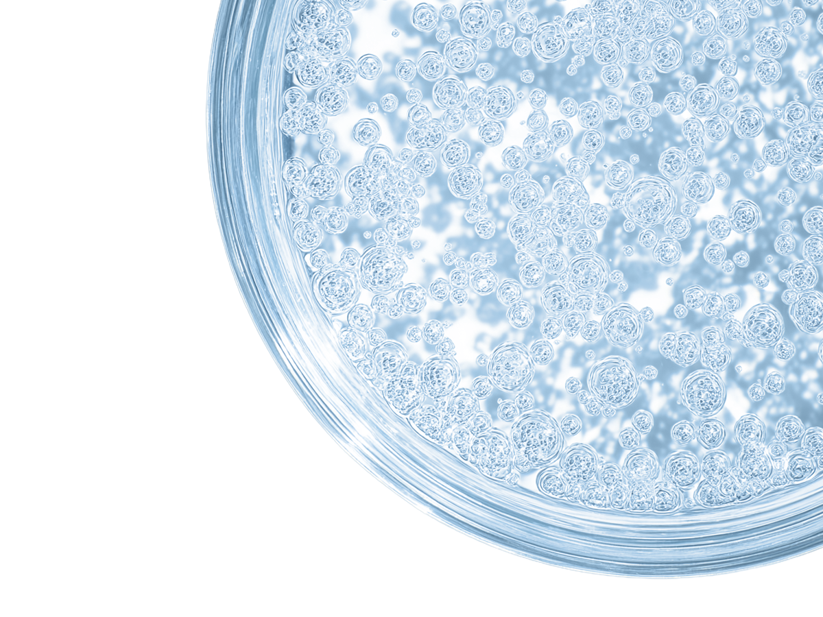 Ausschnitt einer Petrischale mit transparenter Flüssigkeit und Partikeln
